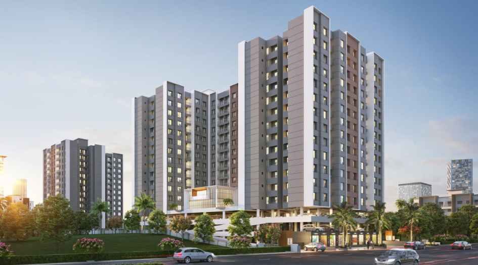 _ Elevation Image